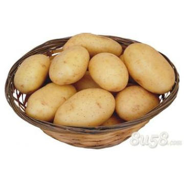 Wholesale bulk potato specifications potato starch specification